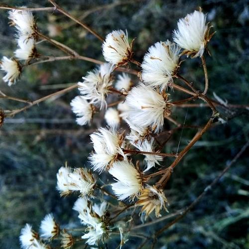 Photo #4226284