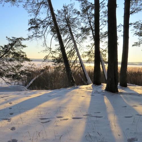 Photo #4226443