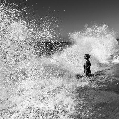 Photo #4226475