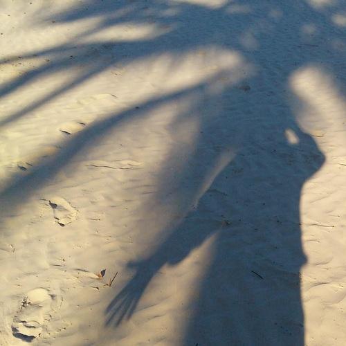 Photo #4226699
