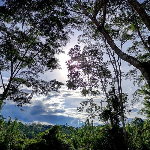 Photo #4226735
