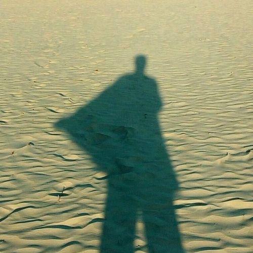 Photo #4226737