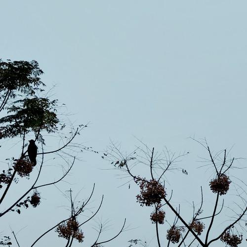 Photo #4226877