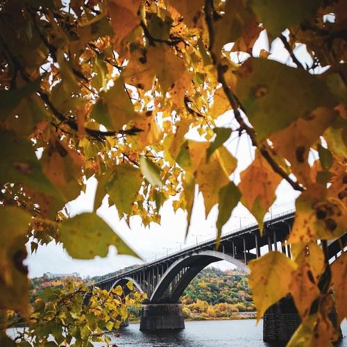 Осень в городе двух Н. (Autumn in the city of two N.)