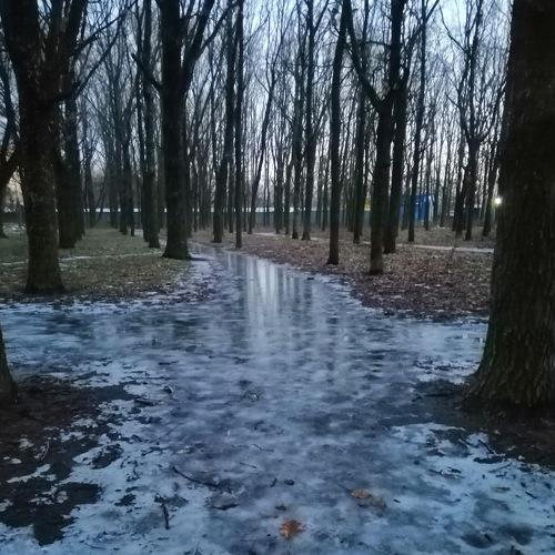 Photo #4228203