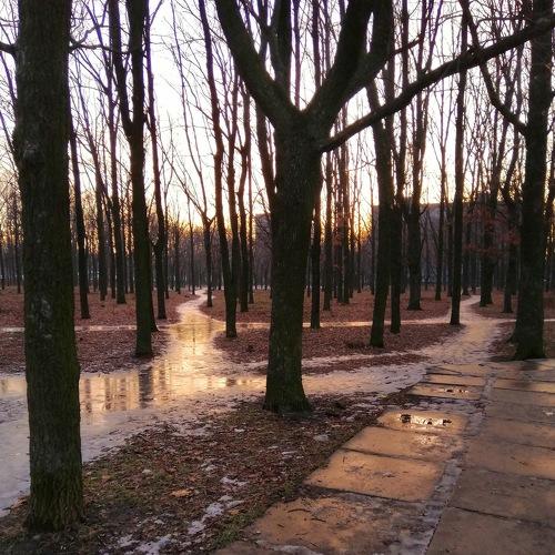 Photo #4228225
