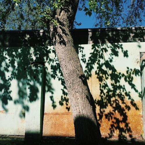 Photo #4228778