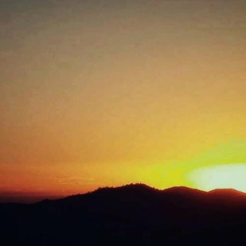 Desert sunset silhouette