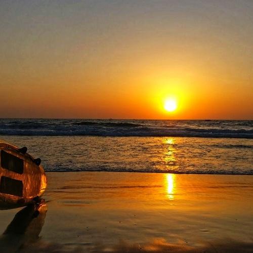 Photo #4229102