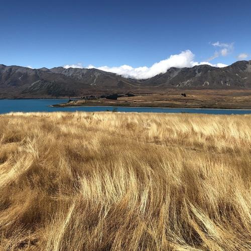 Photo #4229104