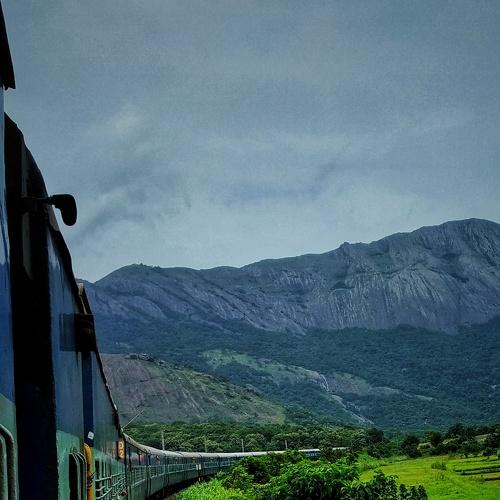 Life and travel