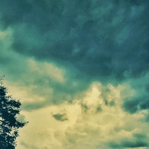 Photo #4229122