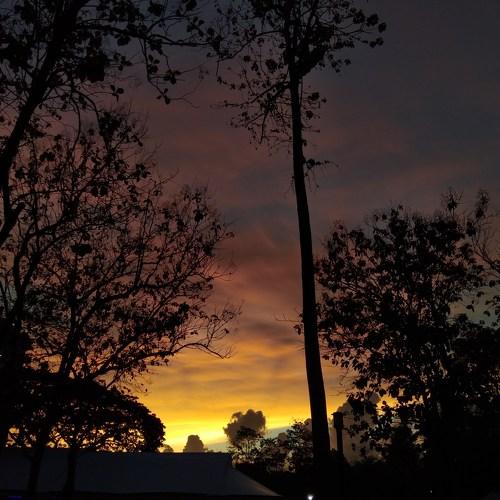 Sunset in the city