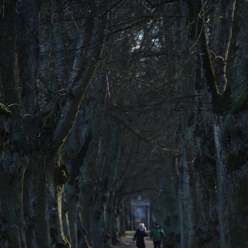 Photo #4229781