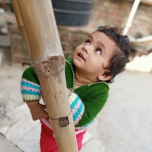 Photo #4230417