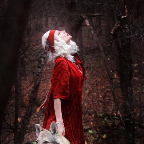 Photo #4230453