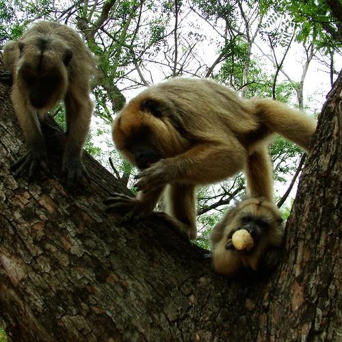 Photo #4230603
