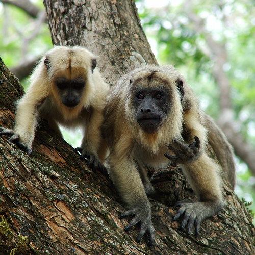 Photo #4230631