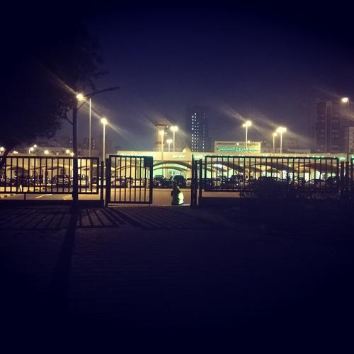 Photo #4230718