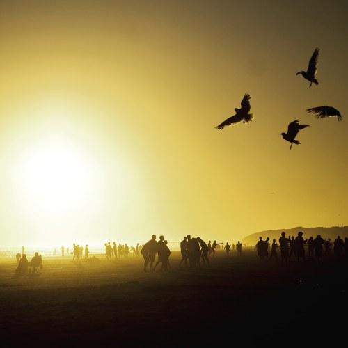 sunset silhouettes