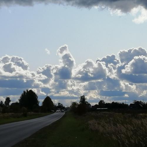 Photo #4231156