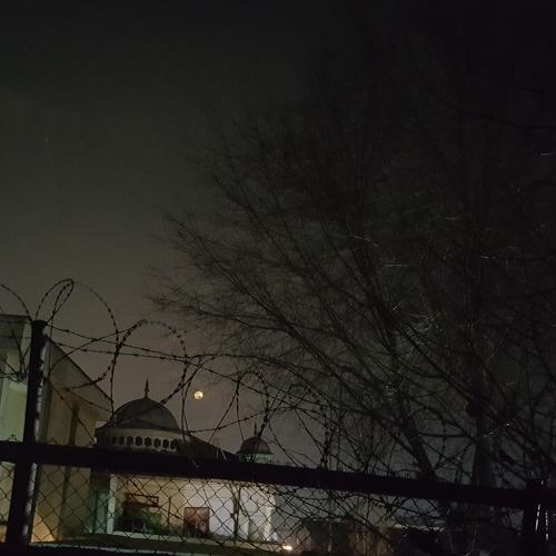 Photo #4231474
