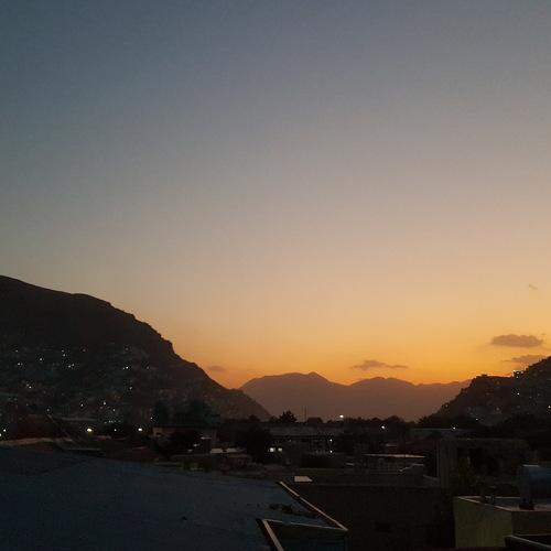 Photo #4231493
