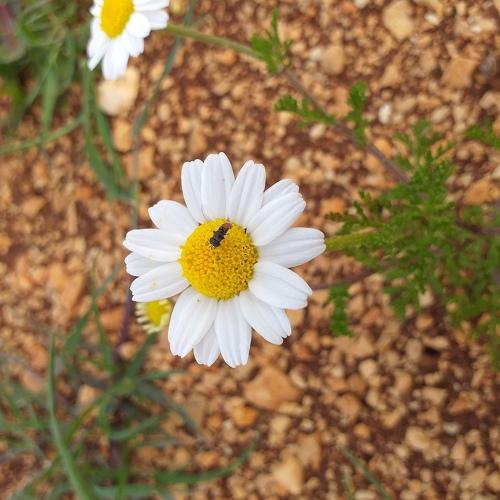 Photo #4231547