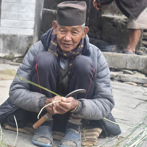 Photo #4231973