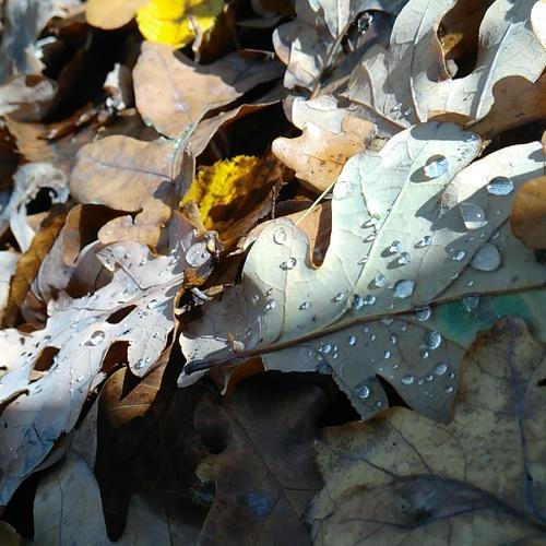 Photo #4232217
