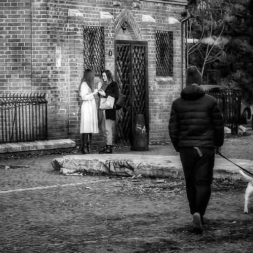 Photo #4232295