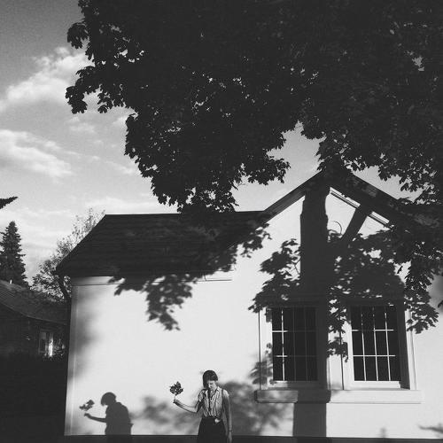 Photo #4232370