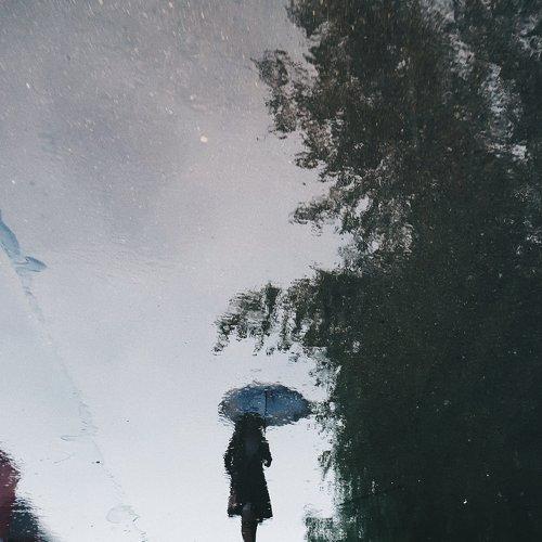 Photo #4232525