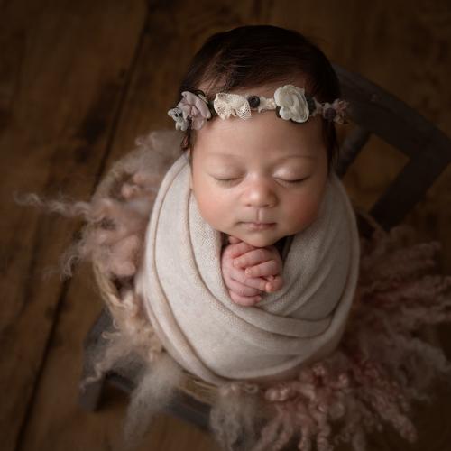 Photo #4232774