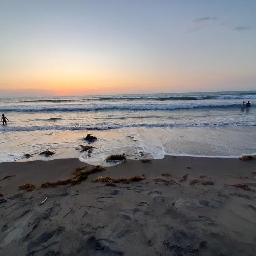 Photo #4233468