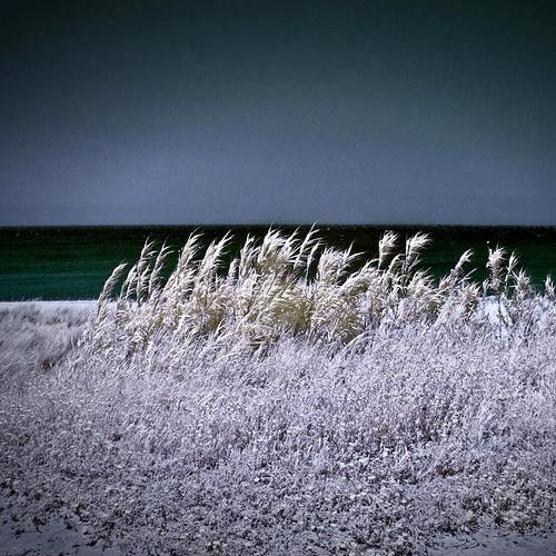 Photo #4233492