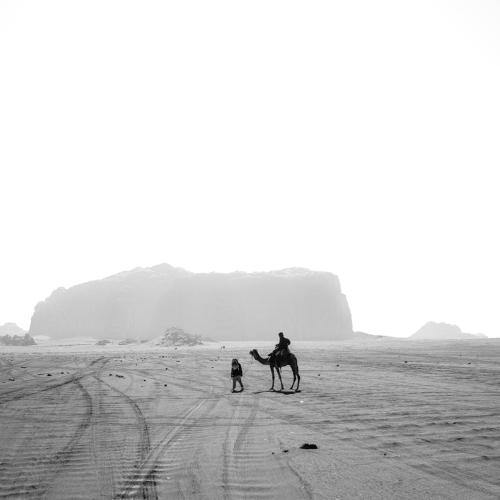 Photo #4233787