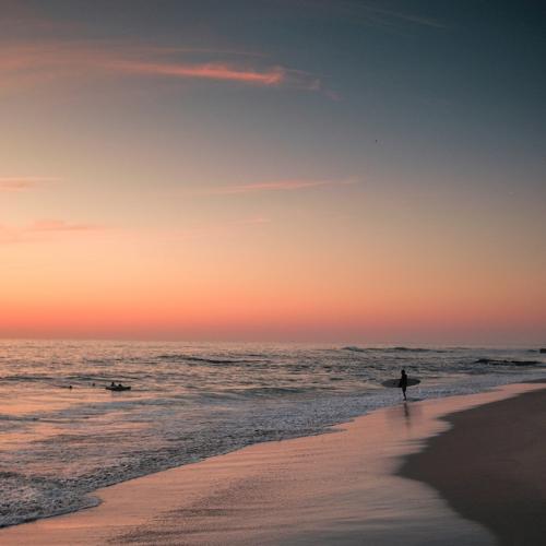Photo #4233788