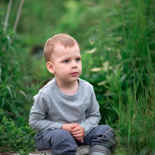 Photo #4233887
