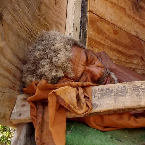 Photo #4234139