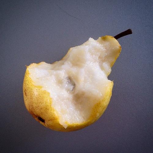 Photo #4234205