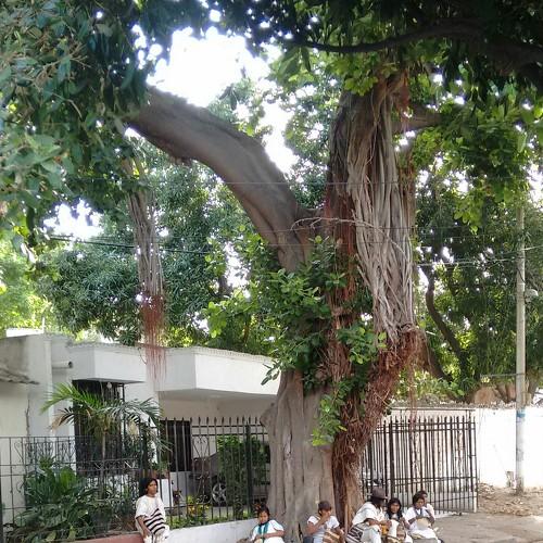 Photo #4234312