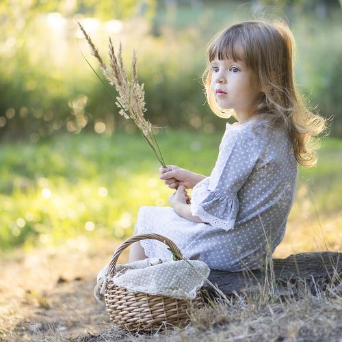 Photo #4234428