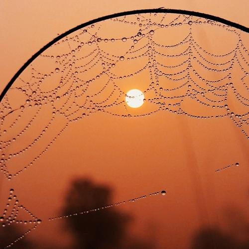 Amazing sunrise