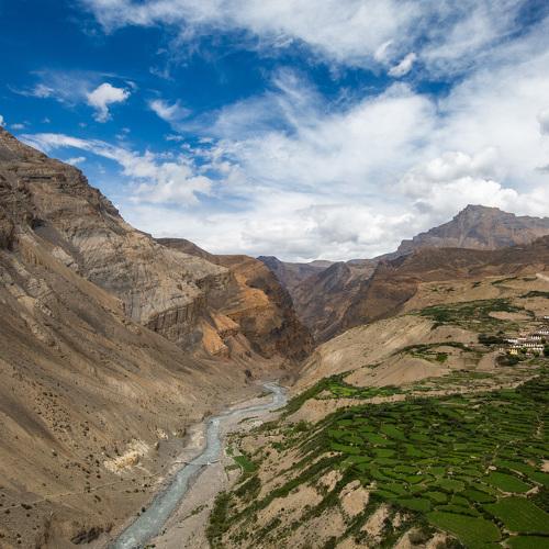 Pastures in barren lands