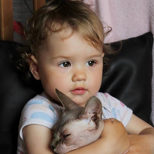 Photo #4235179