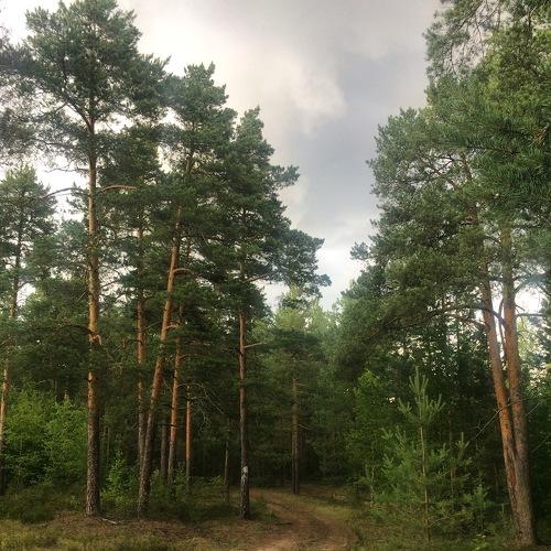Photo #4235416