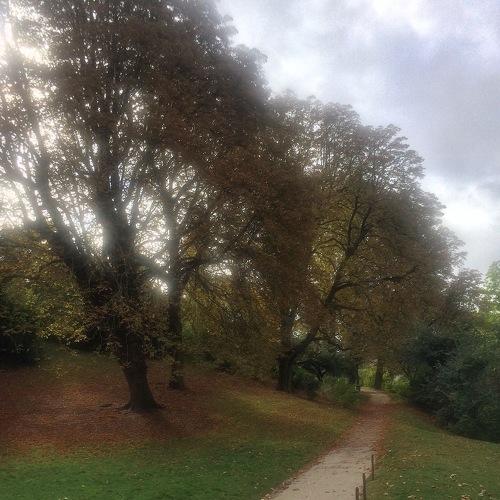 Photo #4235493