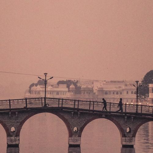 Photo #4235664