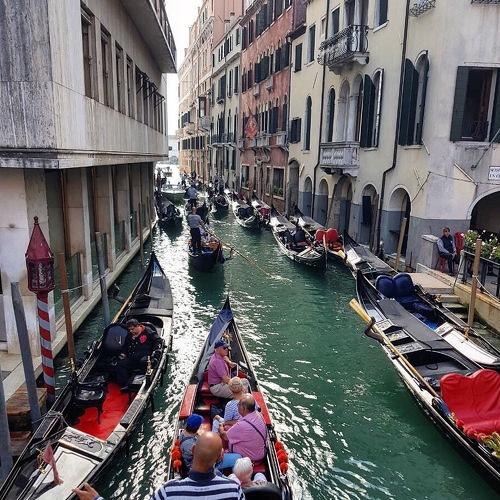 Photo #4235862